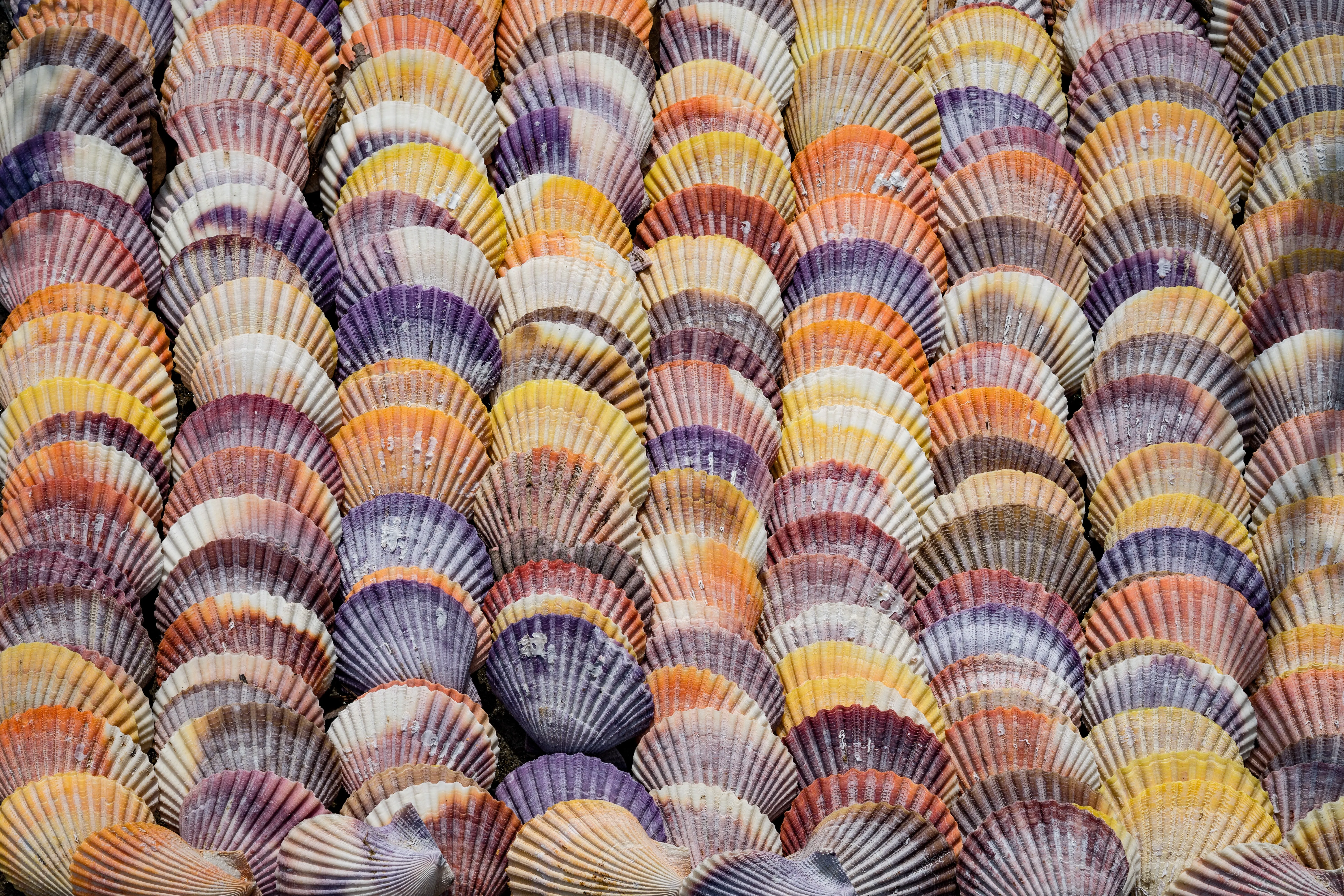 A Practical Shell Scripting Introduction for JavaScript Engineers